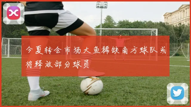今夏转会市场大鱼稀缺南方球队或将释放部分球员